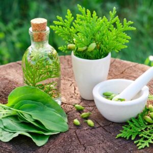 Natural Herbs | اعشاب طبيعية